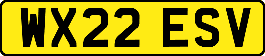WX22ESV