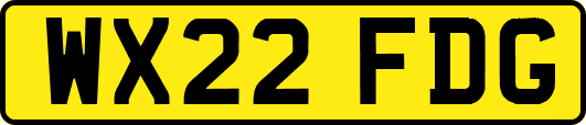WX22FDG