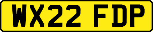 WX22FDP
