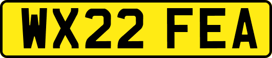 WX22FEA