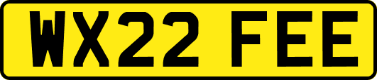 WX22FEE