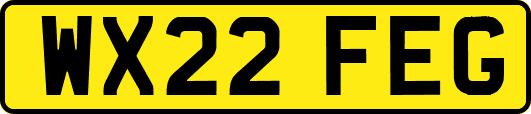 WX22FEG