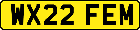 WX22FEM