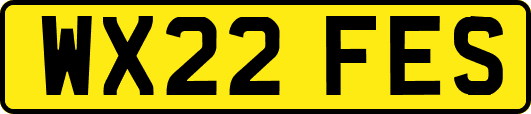 WX22FES