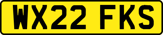 WX22FKS