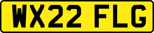 WX22FLG