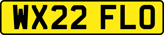 WX22FLO