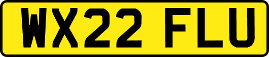 WX22FLU