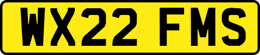 WX22FMS