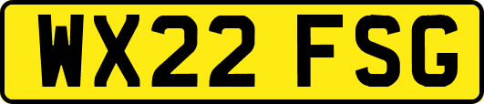 WX22FSG