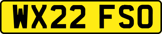 WX22FSO