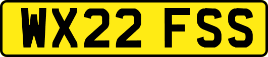 WX22FSS