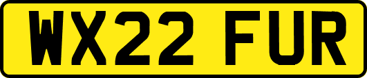WX22FUR