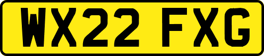 WX22FXG