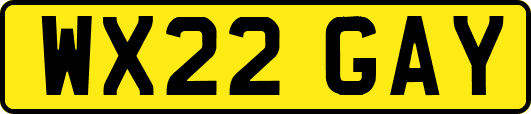 WX22GAY