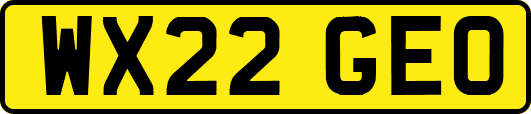 WX22GEO