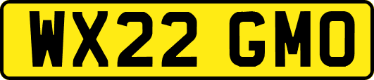 WX22GMO