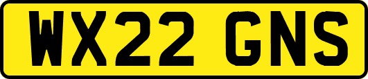 WX22GNS