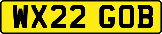 WX22GOB