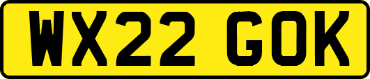 WX22GOK