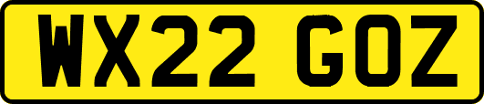 WX22GOZ