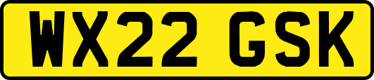 WX22GSK