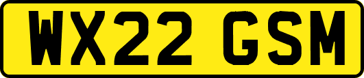 WX22GSM