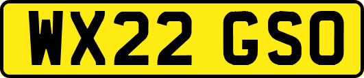 WX22GSO