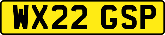 WX22GSP