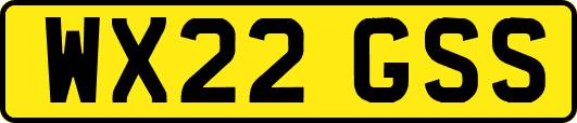 WX22GSS