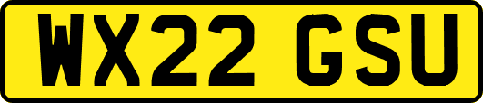 WX22GSU