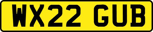 WX22GUB