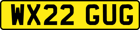 WX22GUG