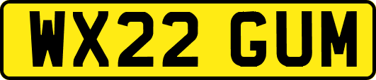 WX22GUM