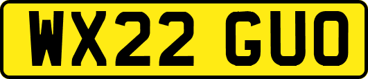WX22GUO