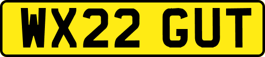 WX22GUT