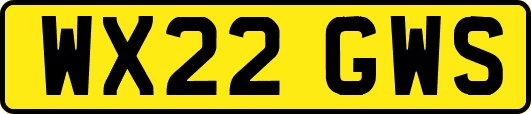 WX22GWS