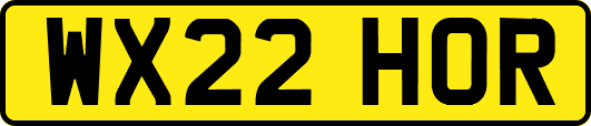 WX22HOR