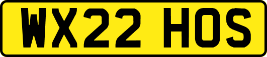 WX22HOS