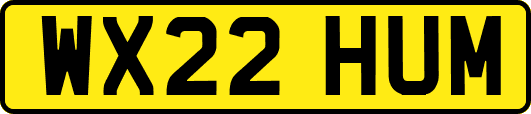 WX22HUM