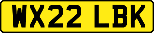 WX22LBK