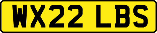 WX22LBS
