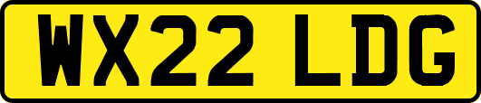 WX22LDG