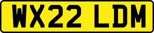 WX22LDM