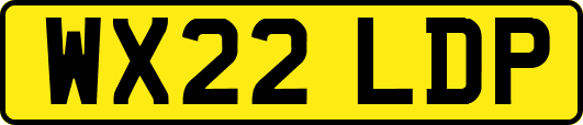 WX22LDP