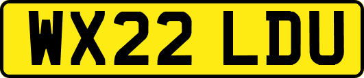 WX22LDU