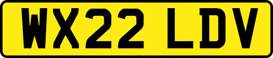 WX22LDV