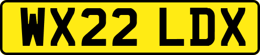 WX22LDX