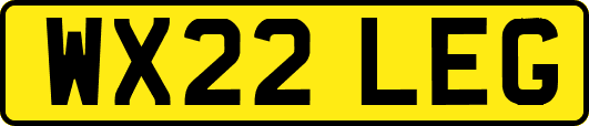 WX22LEG