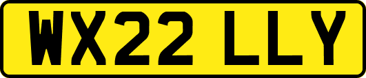 WX22LLY